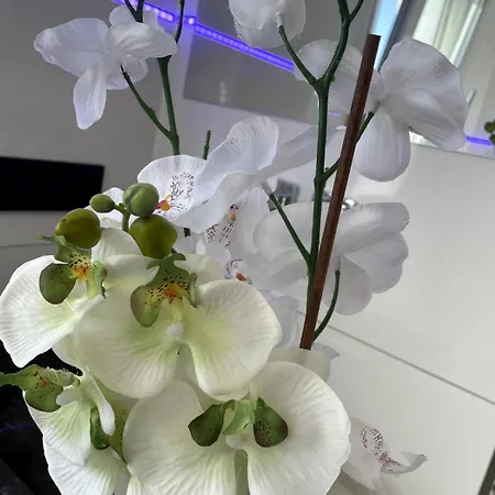 Апартаменты Bei Pina - Business Nahe Duesseldorf *