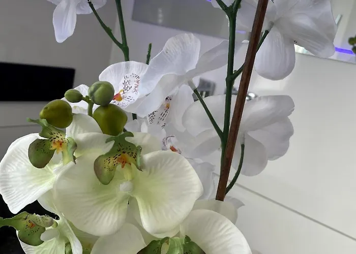 Appartement Bei Pina - Business Nahe Duesseldorf *